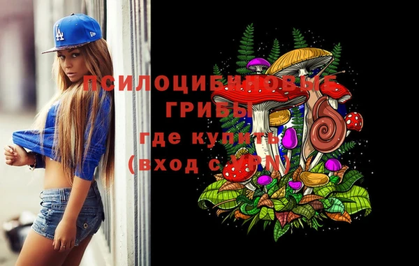 СК Кинешма