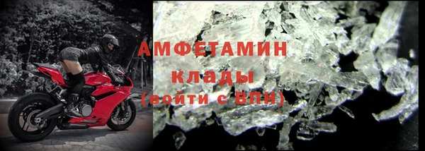стафф Касимов