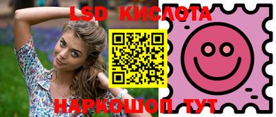 PSILOCYBIN Новокубанск