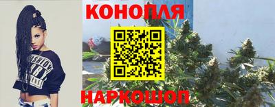дмт Новозыбков