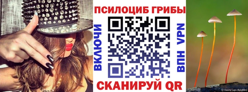 закладка Заинск Псилоцибиновые грибы прущие грибы