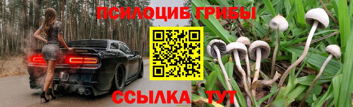 Заинск  Галлюциногенные грибы Psilocybine cubensis  Галлюциногенные грибы Cubensis  Вход с VPN 